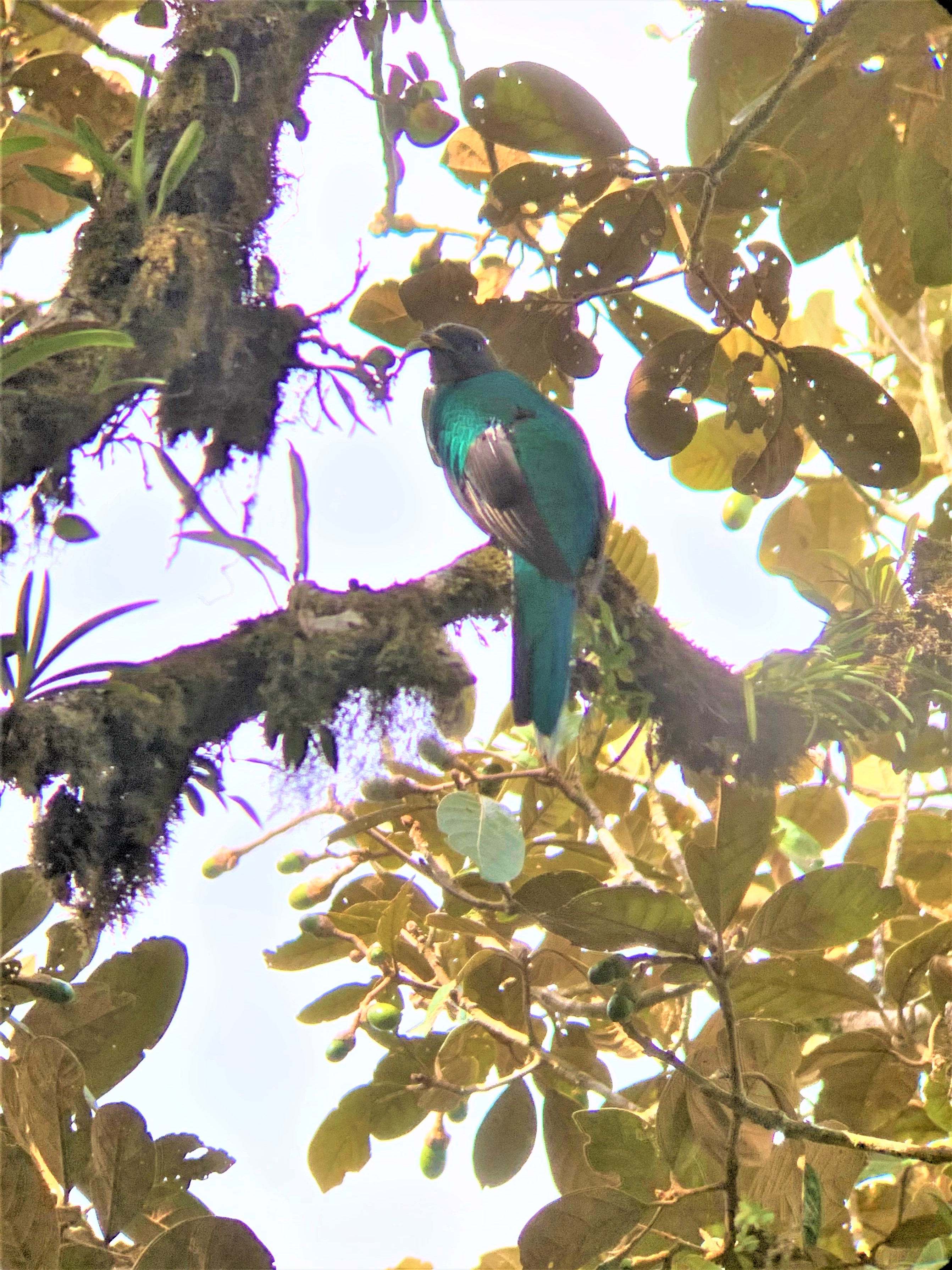 Costa Rica